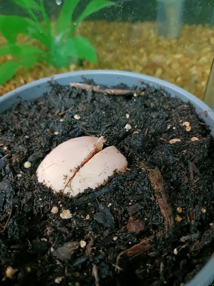 Mrs.EArnold tweet media