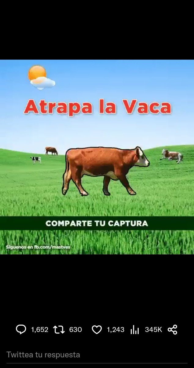 zerapioreso's tweet photo. @momentoviral https://t.co/DItpU0GK3n