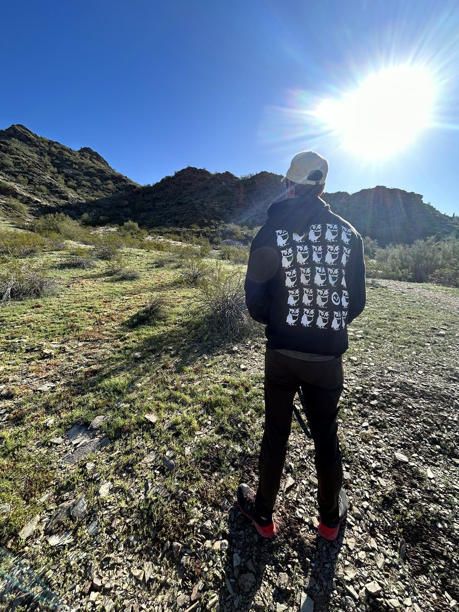 🦉 👁️ 
<a href="/indexcoop/">Index Coop 🦉</a>