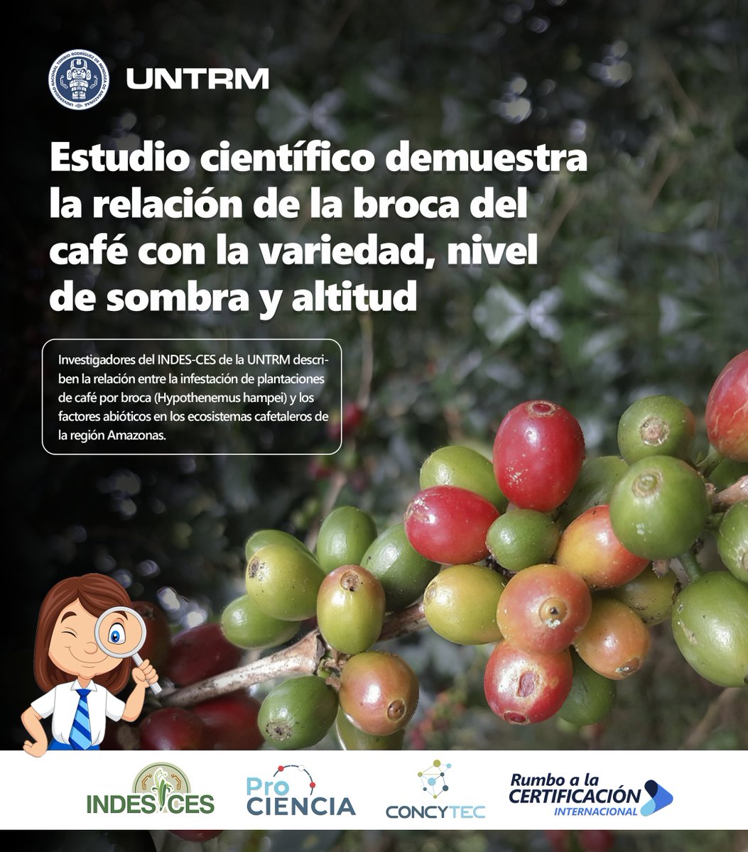 cesindes1's tweet photo. ✅Estudio científico del @cesindes1 de la @untrm  demuestra la relación de la broca del café con la variedad, nivel de sombra y altitud 👏 https://t.co/Y1cwLt4zK8