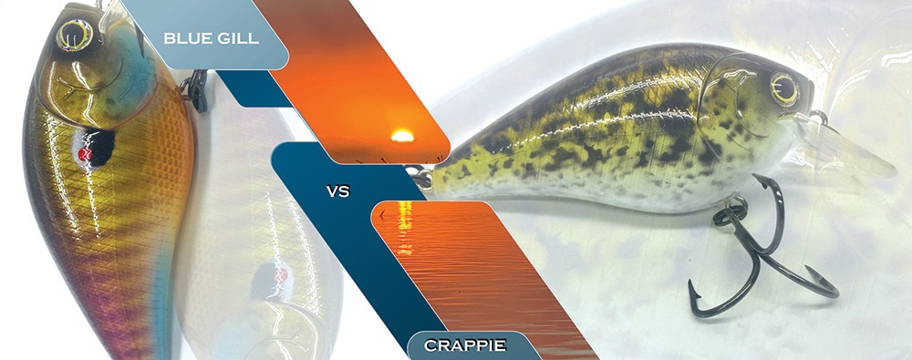 Chasing Giants (@opschief_bbp) on Twitter photo Squarebill Challenge! Which one are you throwing?
<a href="/Bassreaperbaits/">BassReaper Bait Co</a> <a href="/EnigmaFishing/">Enigma Fishing</a> <a href="/LiquidMayhem/">sky daniel</a> @AmericanTackleCo Squarebill Challenge! Which one are you throwing?
<a href="/Bassreaperbaits/">BassReaper Bait Co</a> <a href="/EnigmaFishing/">Enigma Fishing</a> <a href="/LiquidMayhem/">sky daniel</a> @AmericanTackleCo