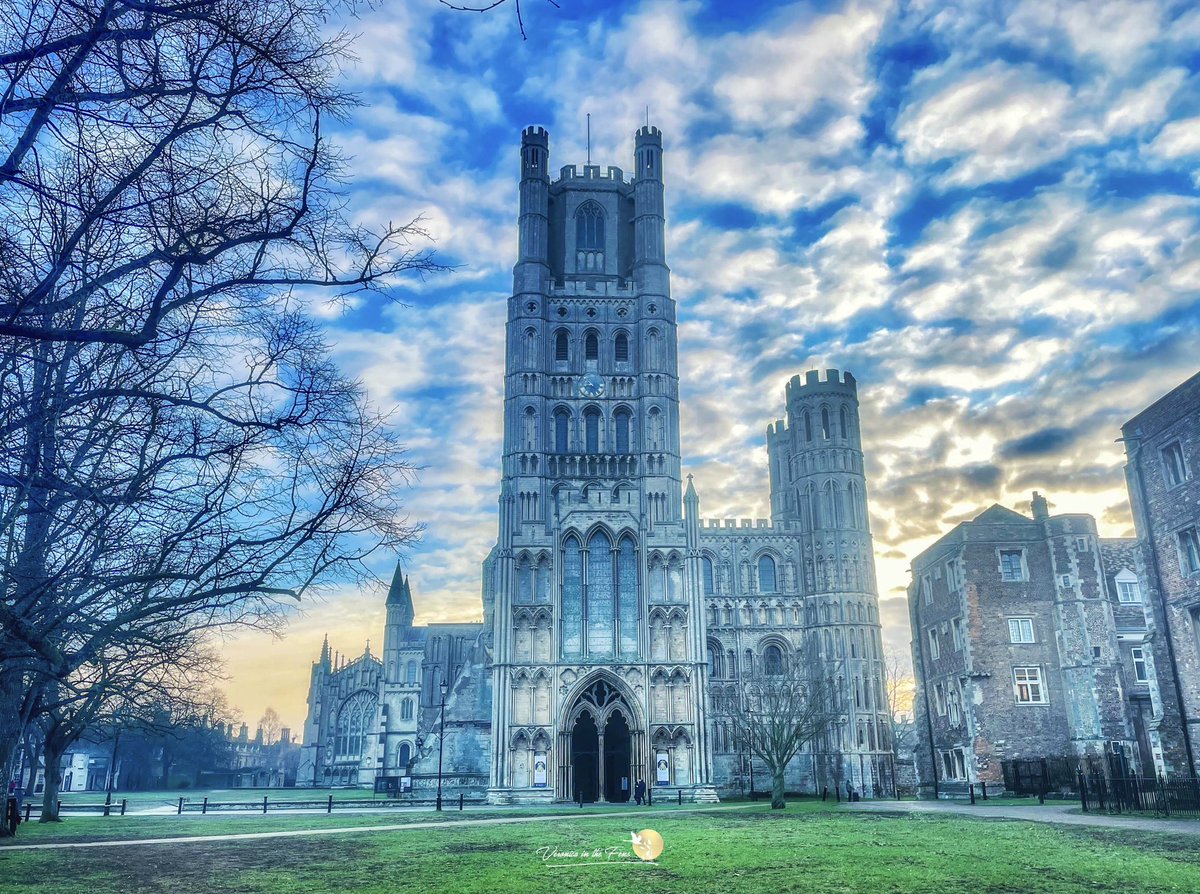 Veronica in the Fens 🧚🏼♀️ My Heart in Nature tweet media