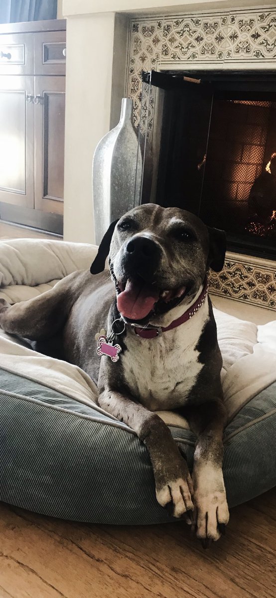 Jay Glazer tweet media