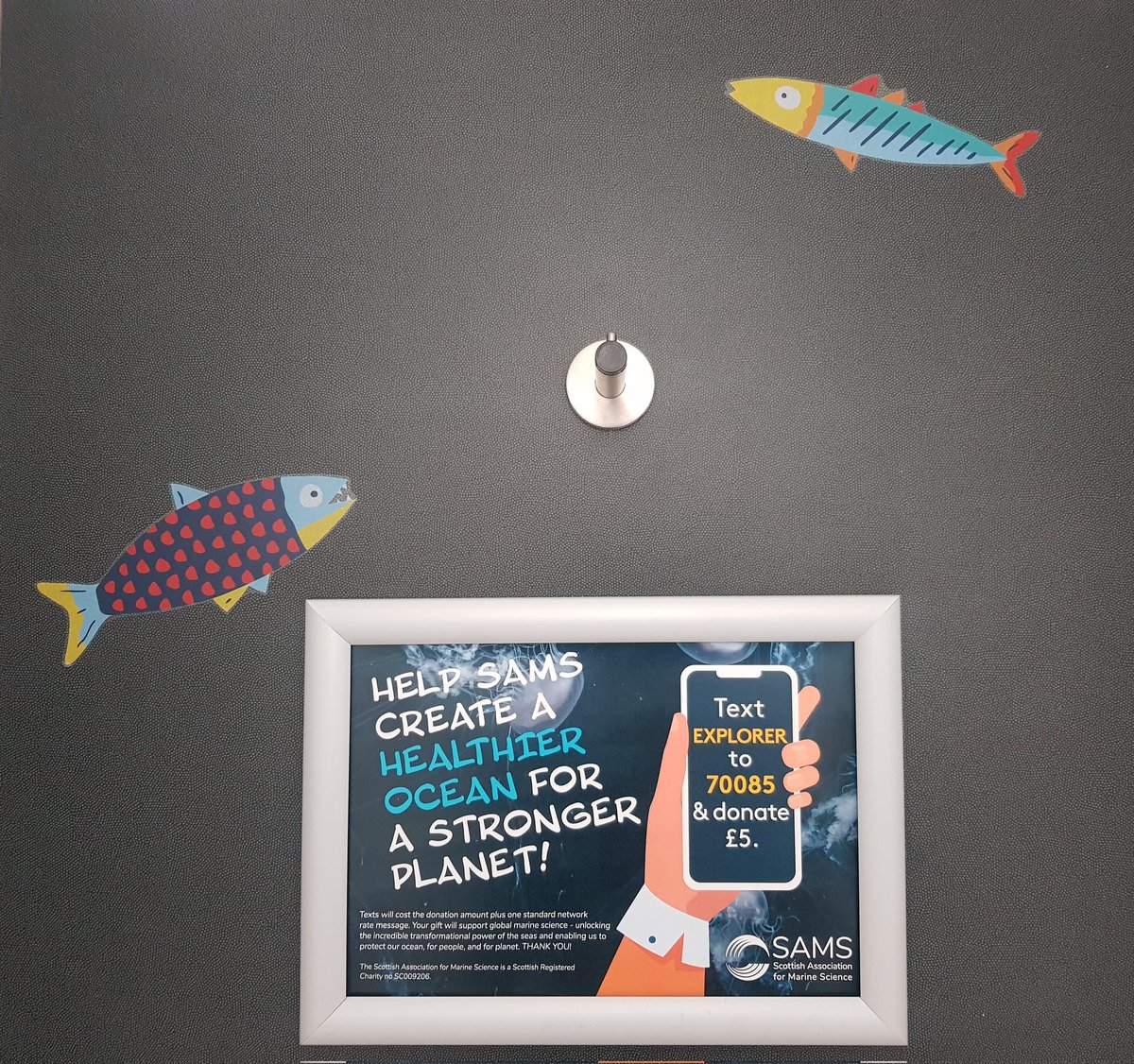 BettyShmem's tweet image. Not gonna lie, I spent a lot of today hanging out in toilets. And couldn&apos;t be prouder. #HealthierOceanStrongerPlanet #SpendAPenny