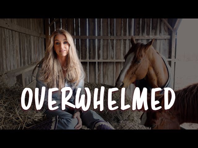 TempletonTMusic's tweet photo. Hay y’all, HOPE you’re doin’ GREAT in this NEW Year!!🙏❤️ Here’s our latest, NEW YouTube video🐴❤️🐴❤️🎶🙏
https://t.co/AFd9H6Ya65
#getbackupgetbackonride #hippiechiccowgirl s &amp; cowboys!! ONWARD!!👍💪❤️🤗 https://t.co/PLvxvVqIzI