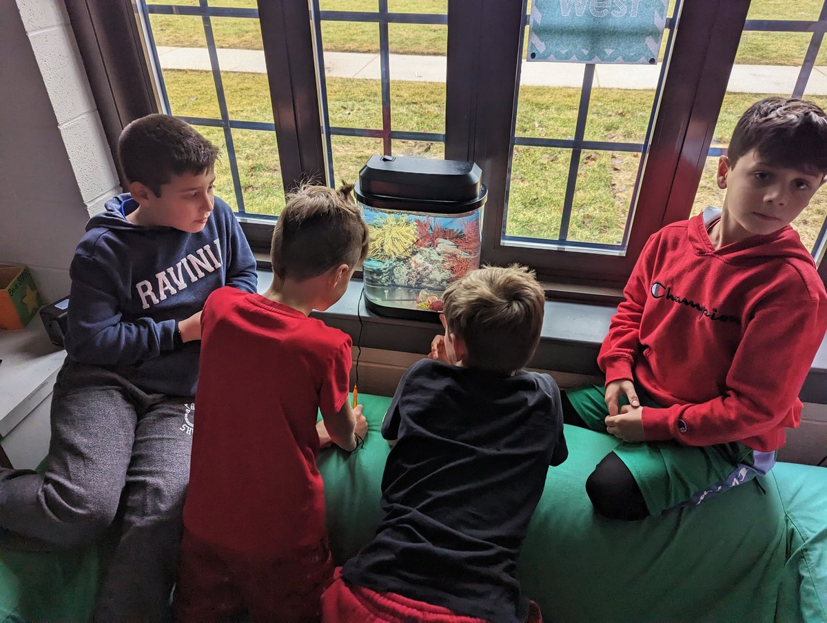 TheMrsDerry's tweet photo. Our afternoon brain break looks a little different for everyone.  ❤️ #raviniarocks #112leads #3Derry https://t.co/tB7HWCQGUZ