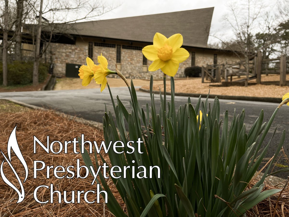 NWPCAtlanta's tweet photo. News from Northwest Presbyterian Church - https://t.co/pviK7uX2uL
Join us for the Souper Bowl of Caring.
Lunch.
Mission project preparing 90 breakfast bags for Central Night Shelter.
Canned goods for the food pantries of the CAC of Sandy Springs and MUST Ministries. https://t.co/ppU6hlg9PB