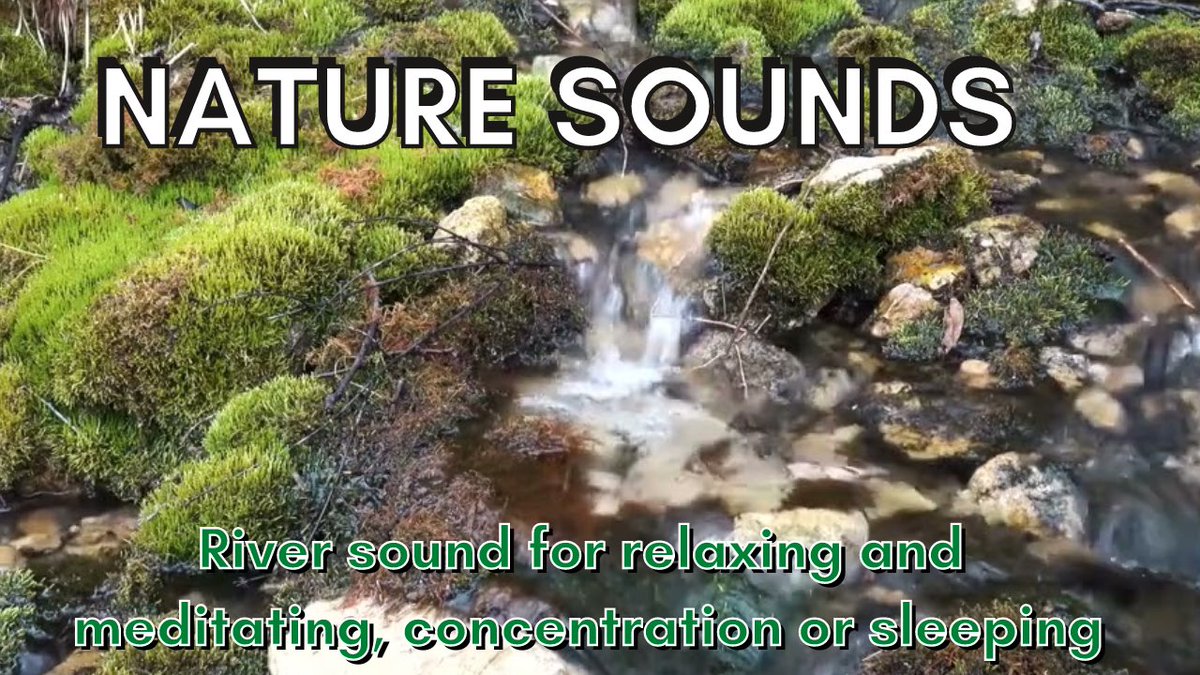 NatureSounds_23's tweet photo. River sound for relaxing and meditating, concentration or sleeping

Please help us to promote our channel, subscribe, check the "bell" for updates and leave a like. Comment how much you approved of our effort. Thanks!

https://t.co/CYuNb7LpBH

#naturesounds https://t.co/tzYStpM2Yo