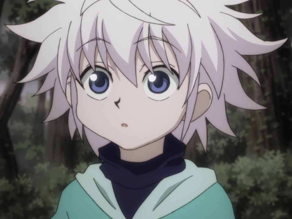 Hunter x Hunter já saiu do hiato? on X: Qual você escolhe?   / X