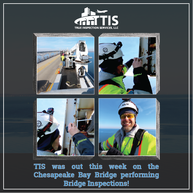 True Inspection Services tweet media