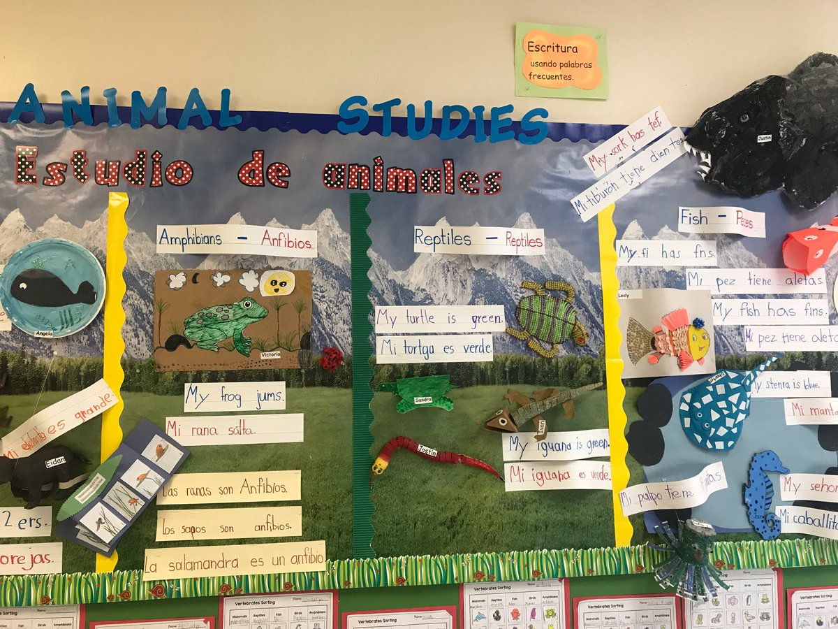 Kristin Pascuzzi tweet media