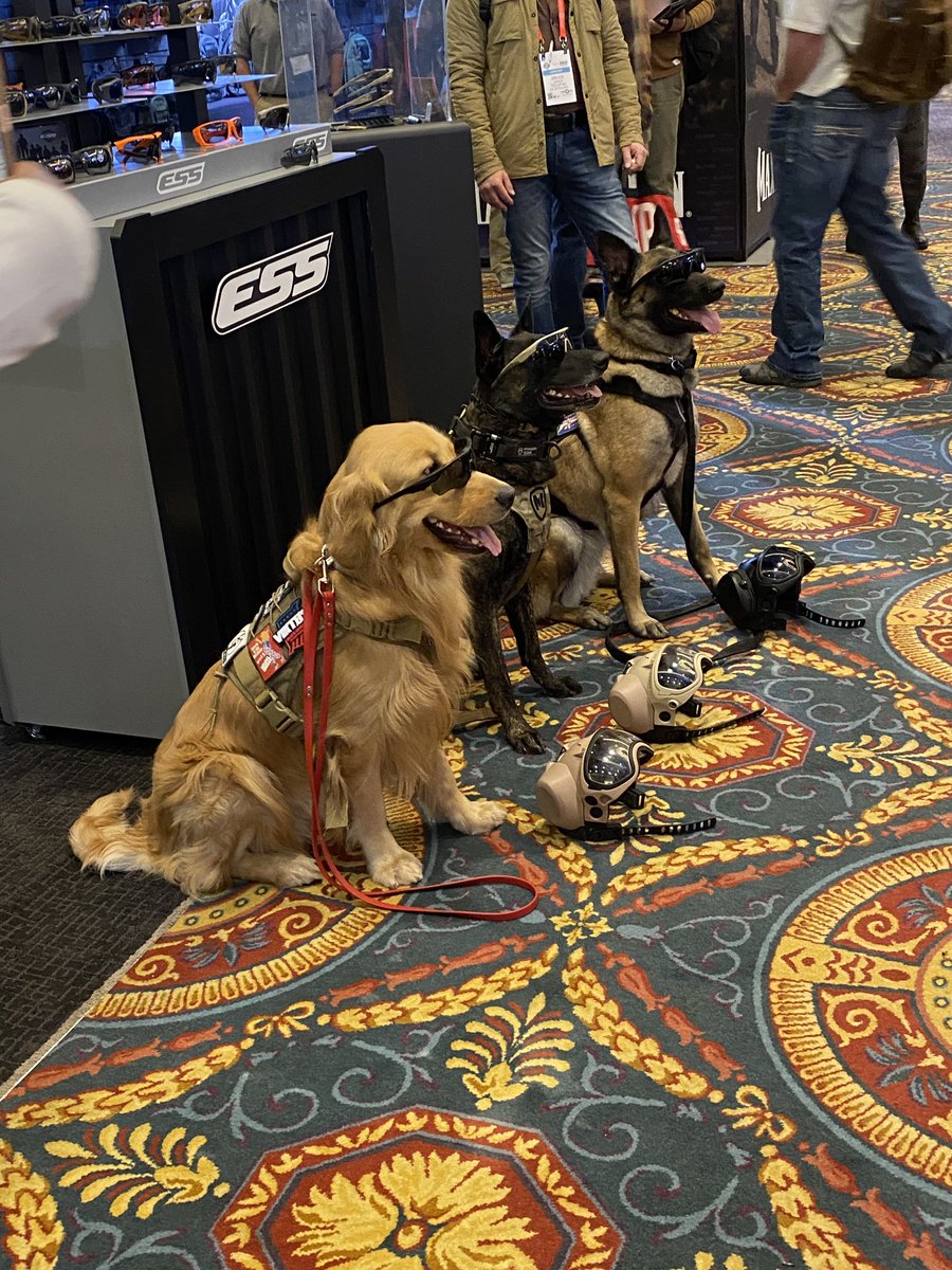 flashbacks of #shotshow2023 #shotshow #gungirl 

also peep the goodest boy lil models and their ear pro / comms setups🥹 getting my #greatdane a set for the ranch / farm