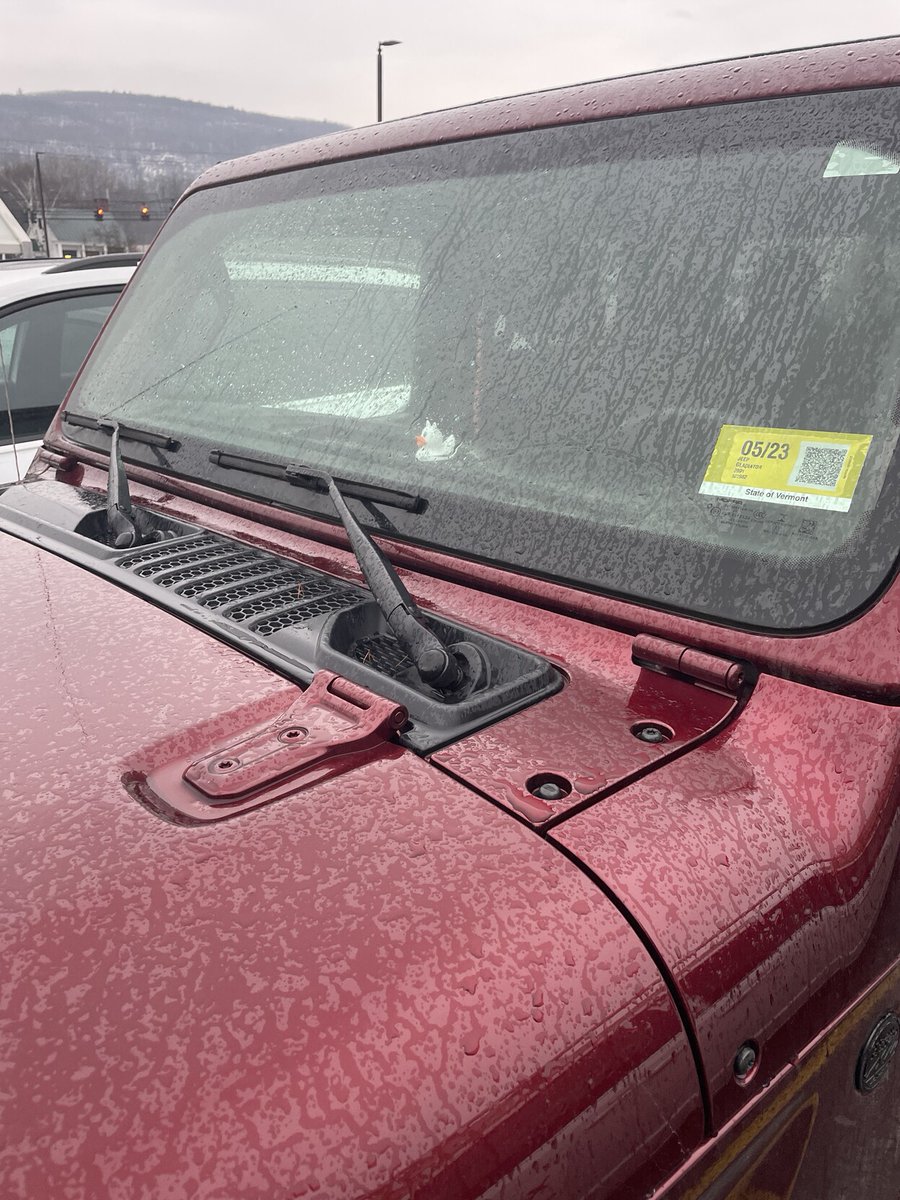 Rafe Rosen tweet media