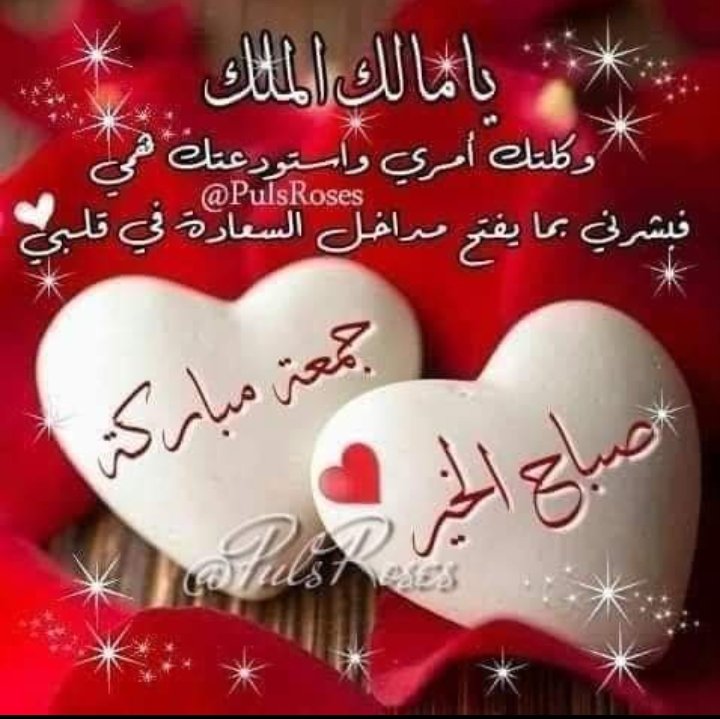 عبد النافع رشوان (@alnafrshwan) on Twitter photo 