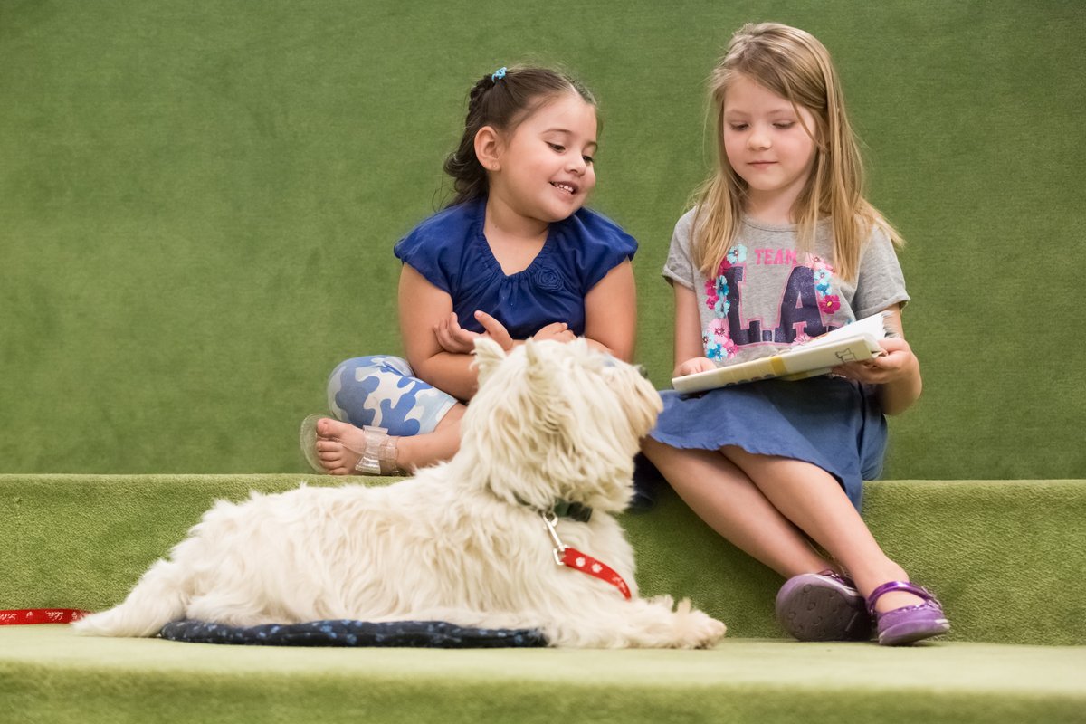 Don't miss We Heart Dogs this Saturday at the Boise Public Library! A group of working dogs will join us to talk about their jobs and how they are helping Boiseans. And while we would love to meet them, please leave your own dogs at home for this event. boisepubliclibrary.libcal.com/event/9801009