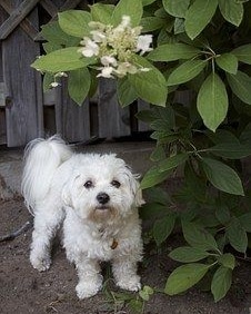 Quel nom lui donnerais-tu ??