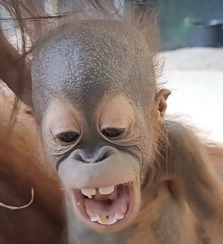 wen i see chikim wingz…😝