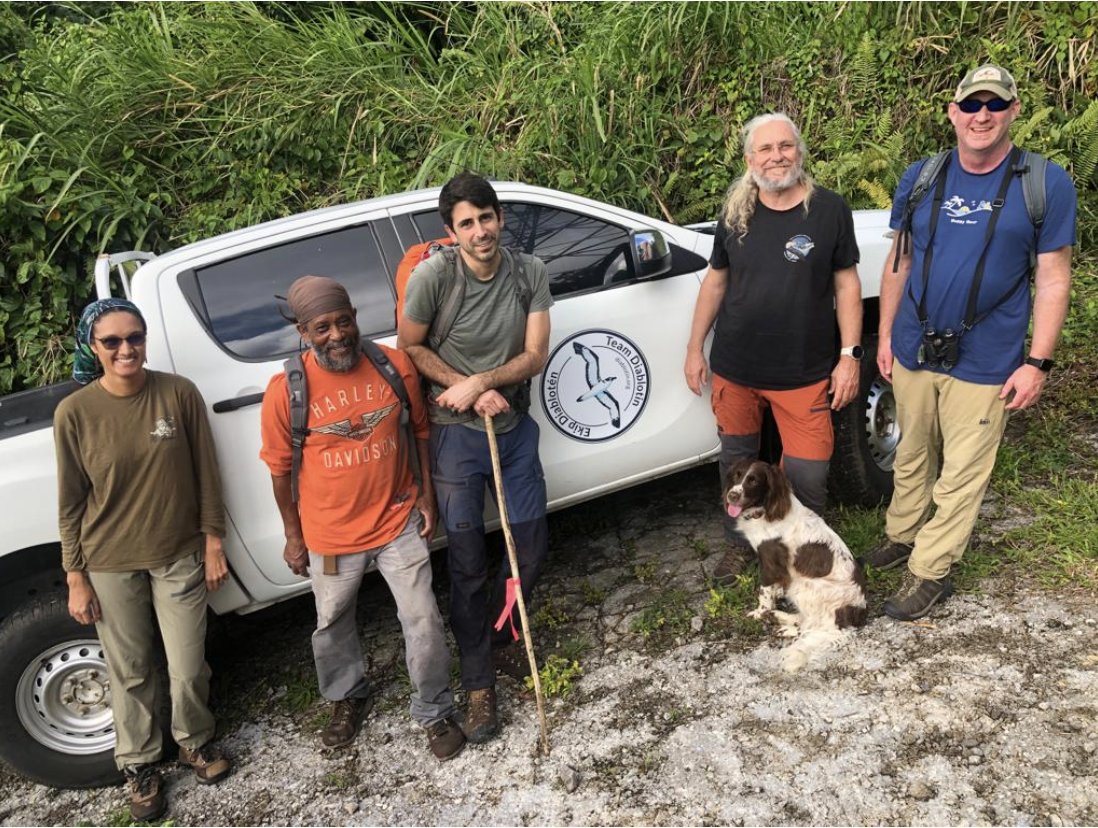 EPICislands's tweet photo. 👏 Exciting first day of an expedition to #Dominica 🇩🇲 to look for nesting 🪹 Black-capped Petrels #diablotin. 

EPIC has joined many partners to discover if there’s another Caribbean island where this rare and endangered seabird is nesting. 

Stay tuned!

#ExpeditionDiablotin https://t.co/cF5yVJDXot