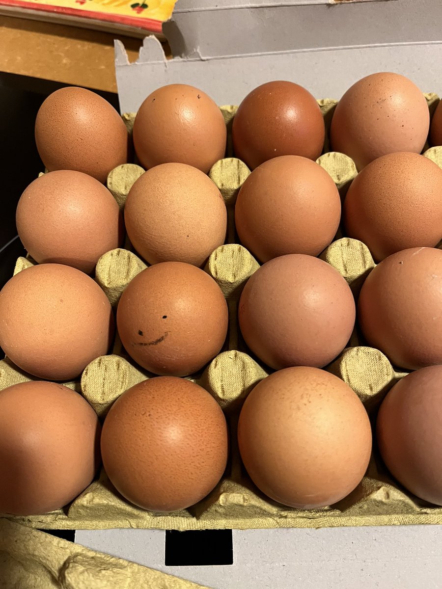 No hay nada más bonito que un huevo te sonría 😅😅😅🤣🤣🤣🤣 gracias <a href="/lidlespana/">Lidl España</a> por este momento!! #huevosfelices #smile #sonrie