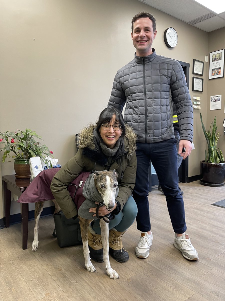 It was all smiles when Bella and her family were reunited! 
Our adorable traveller flew from Winnipeg to Vancouver and we are happy to see everyone back together again! 

#travel #dogsofig #dogs #doglover #vancouver #toronto #canadiantravel