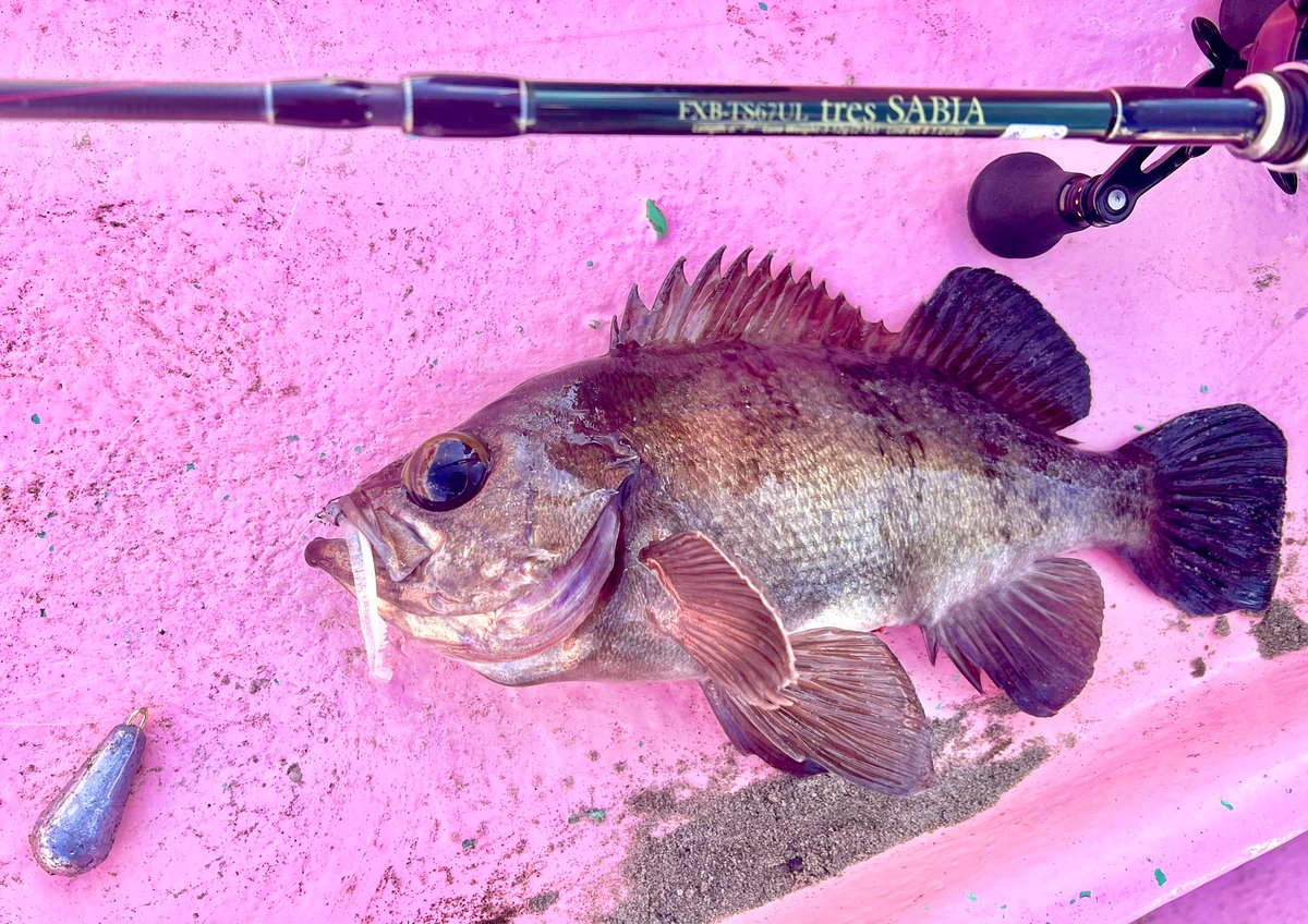 グリッサンド72コンベ