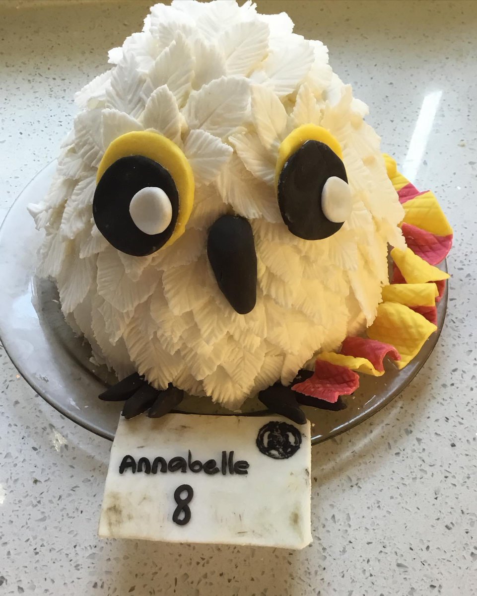 crazyvicky's tweet photo. @TurtleBeach Griffindor 

And here’s a hedwig cake we made this week, we love Harry Potter ! https://t.co/7JhvTJ9dft