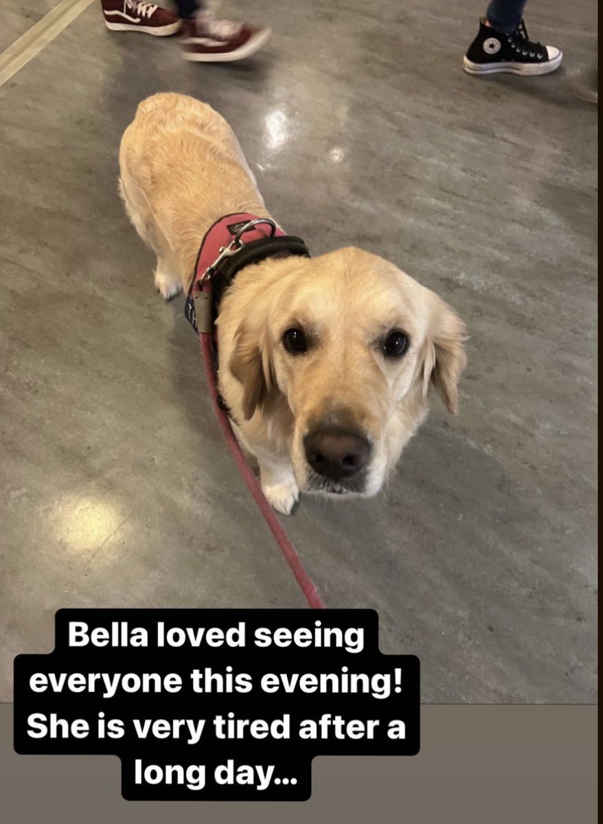 Bell Baxter High School Support Faculty tweet media