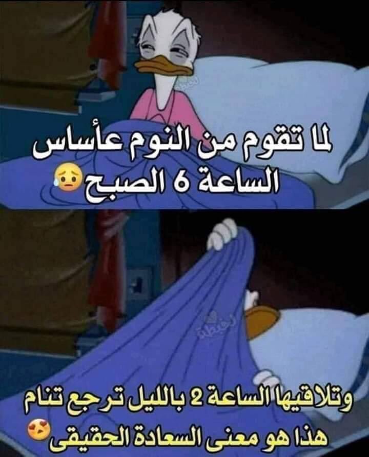 egymeme11's tweet photo. https://t.co/yHYFAYTJaF