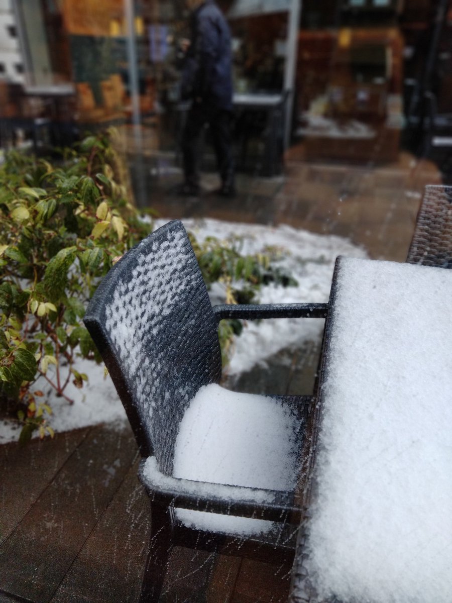 contadesu's tweet photo. 雪 https://t.co/xLq62Lycp1