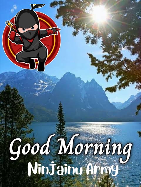 Ninjainu2's tweet photo. #Goodmorning #1000xgem 
#CryptoNews #cryot #cryptomarket #cryptotrading #cryptocurrencies #crytotrading #cryptocurrency #Nft @elonmusk @cz_binance https://t.co/WRMqMdFUsj