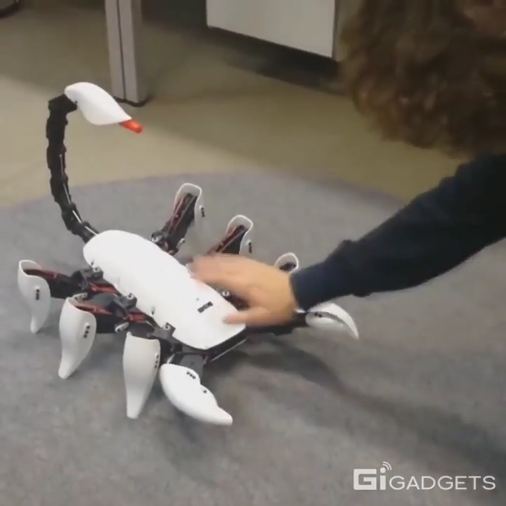 GiGadgets on Twitter "Animal inspired robots. gigadgets robotics 