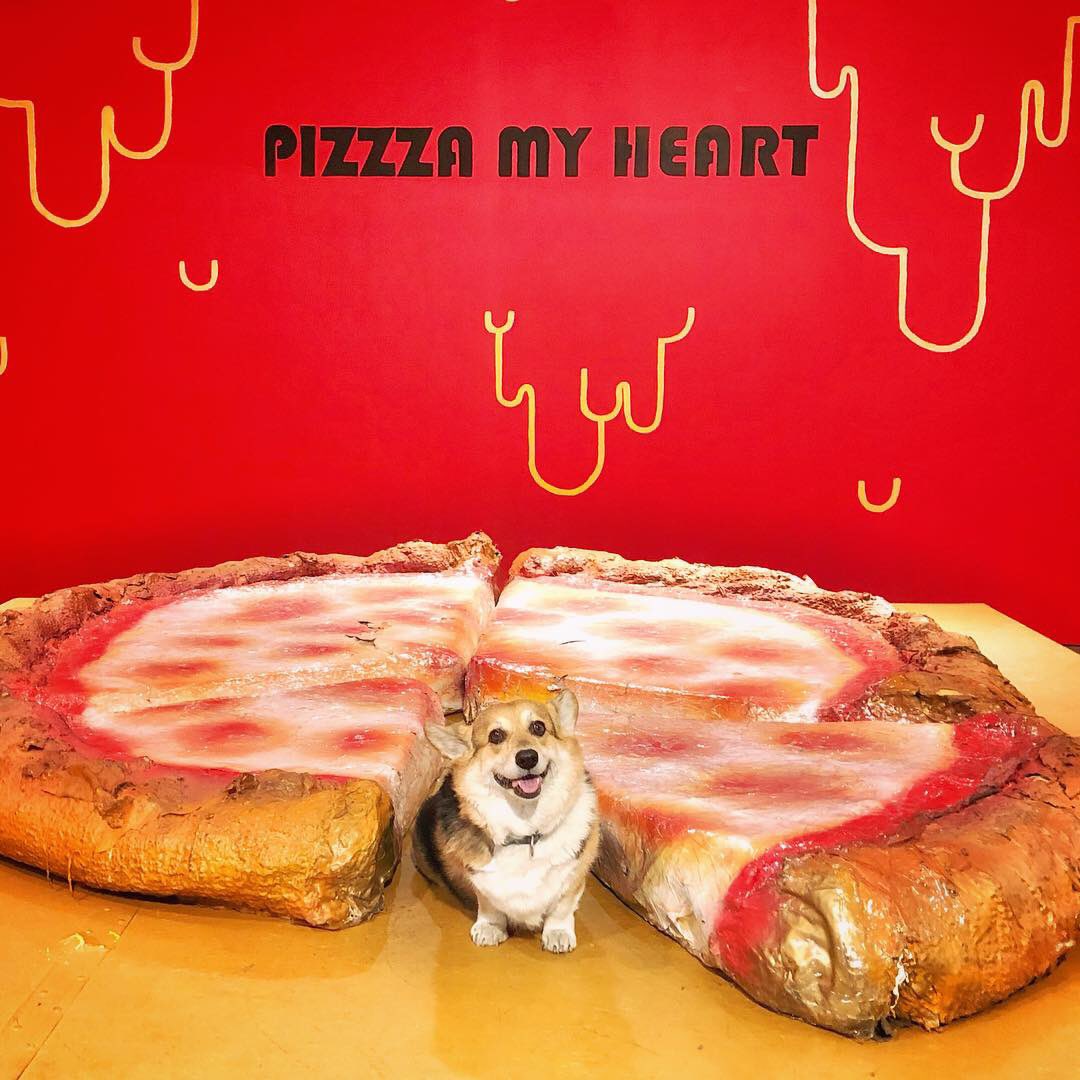 corgi_zero's tweet photo. Happy #NationalPizzaDay to all here who celebrate! #PizzaMyHeart 🍕❤️ https://t.co/6UQPMqv30S