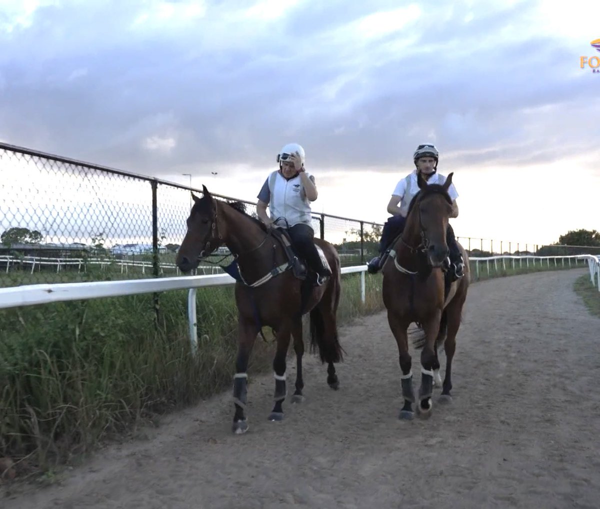 GeeCeeQld's tweet photo. The Brothers Refuse. Honest gallopers that have big β€οΈ@Desracing74 gets the best out of them #toohardtorefuse #couldntrefuse https://t.co/OstEhJKpDw