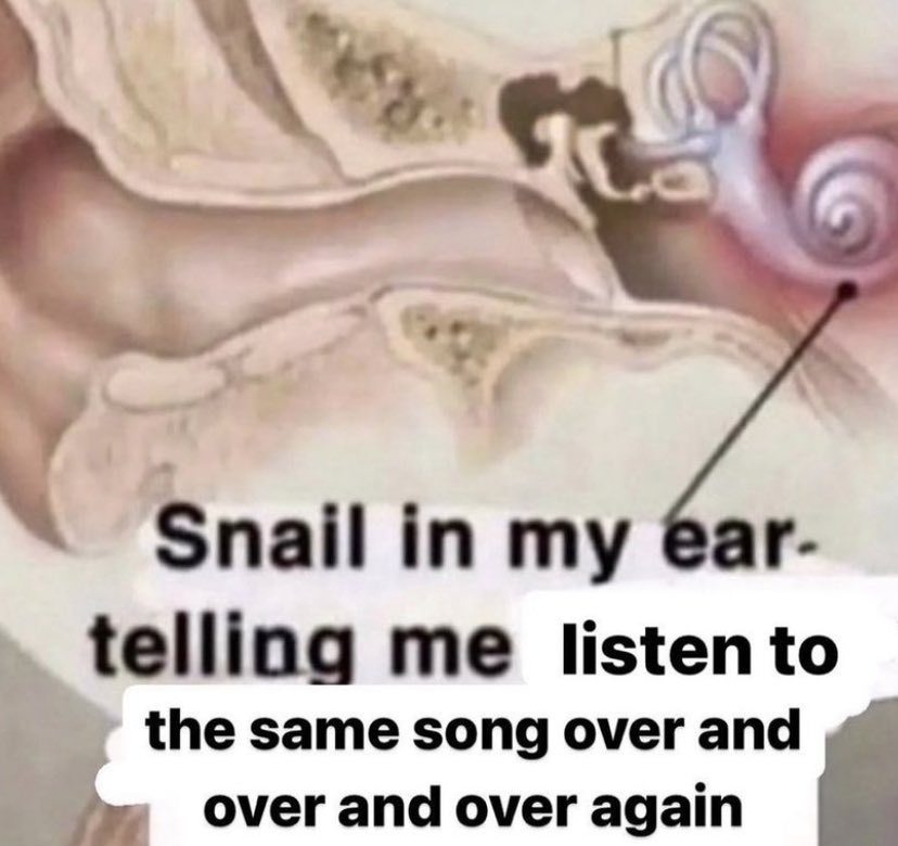 northstardoll's tweet image. 