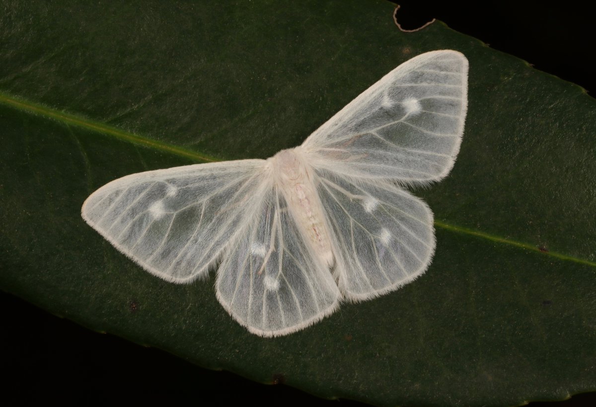 John Horstman tweet media