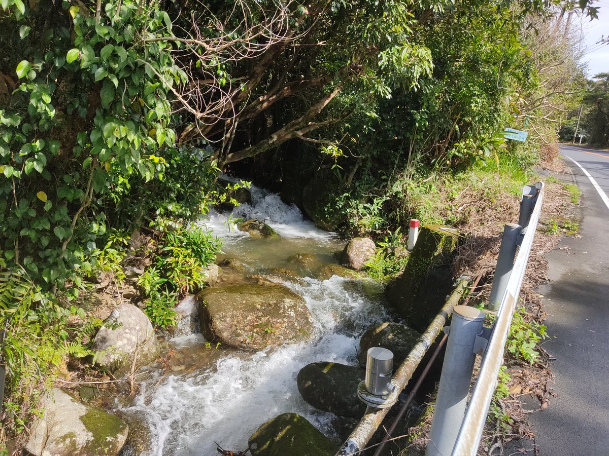 fukukyom's tweet image. 昨日は大雨が降った屋久島。今朝も雨が残ってたけど午前中急速に天気が回復して今は青空。家の横を流れる川がものすごい勢いです。こんな風景が家のすぐそばにあるなんて、屋久島すごいと思わへん?　#屋久島　#離島暮らし　#自然の中で暮らす　#自然と共に暮らす