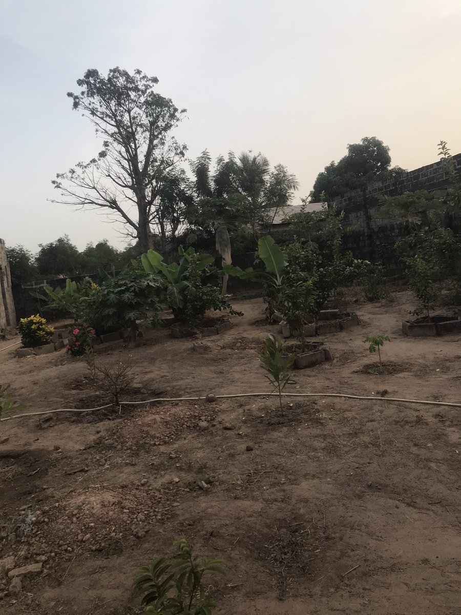 Beautiful environment