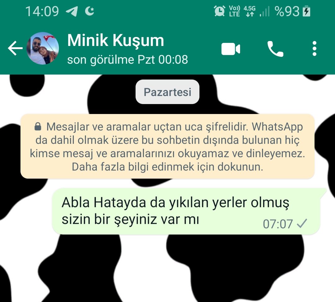 Ahh ablam... Çevrimiçi oluşunu görmek için nelerimi vermezdim.