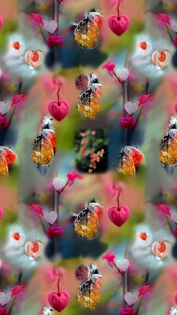 새!새롭! (@saesaelob) on Twitter photo 