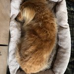 ネガティブカフェ&バー モリオウチ 下北沢 年中無休。超お気軽にどうぞ!お一人様大歓迎!のツイート画像