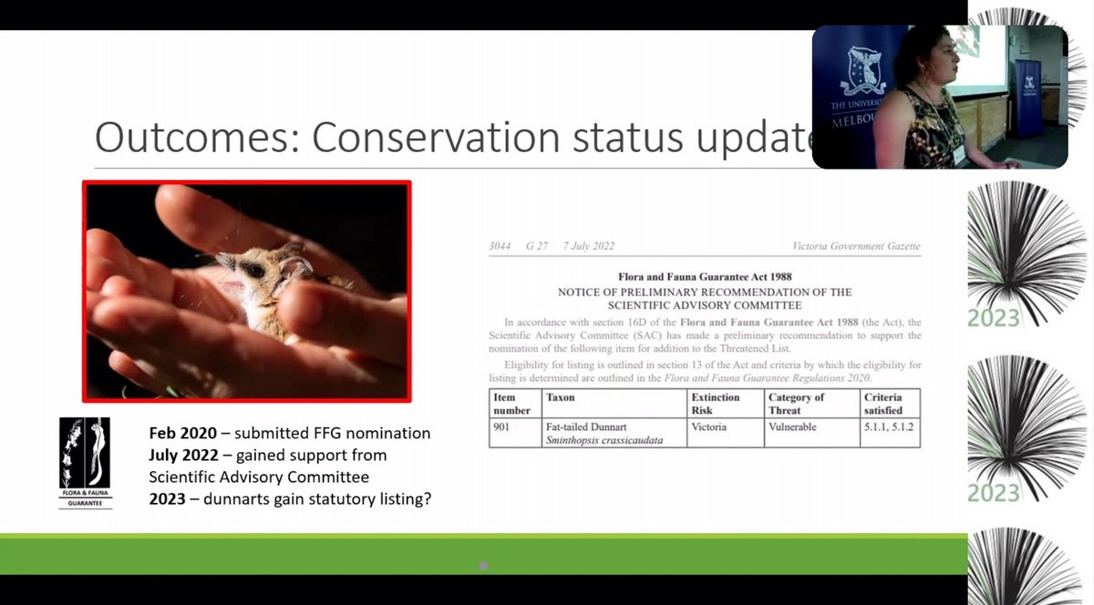 drmparrott's tweet photo. Inspiring research from PhD student @SciclunaEmily - not only did she identify major concerns with the decline in dunnarts, she did something about it. Let's hope we see the Fat-tailed Dunnart listed soon to help focus conservation action! @VicBioCon #VicBioCon23 #conservation https://t.co/Pkawxk8xCJ