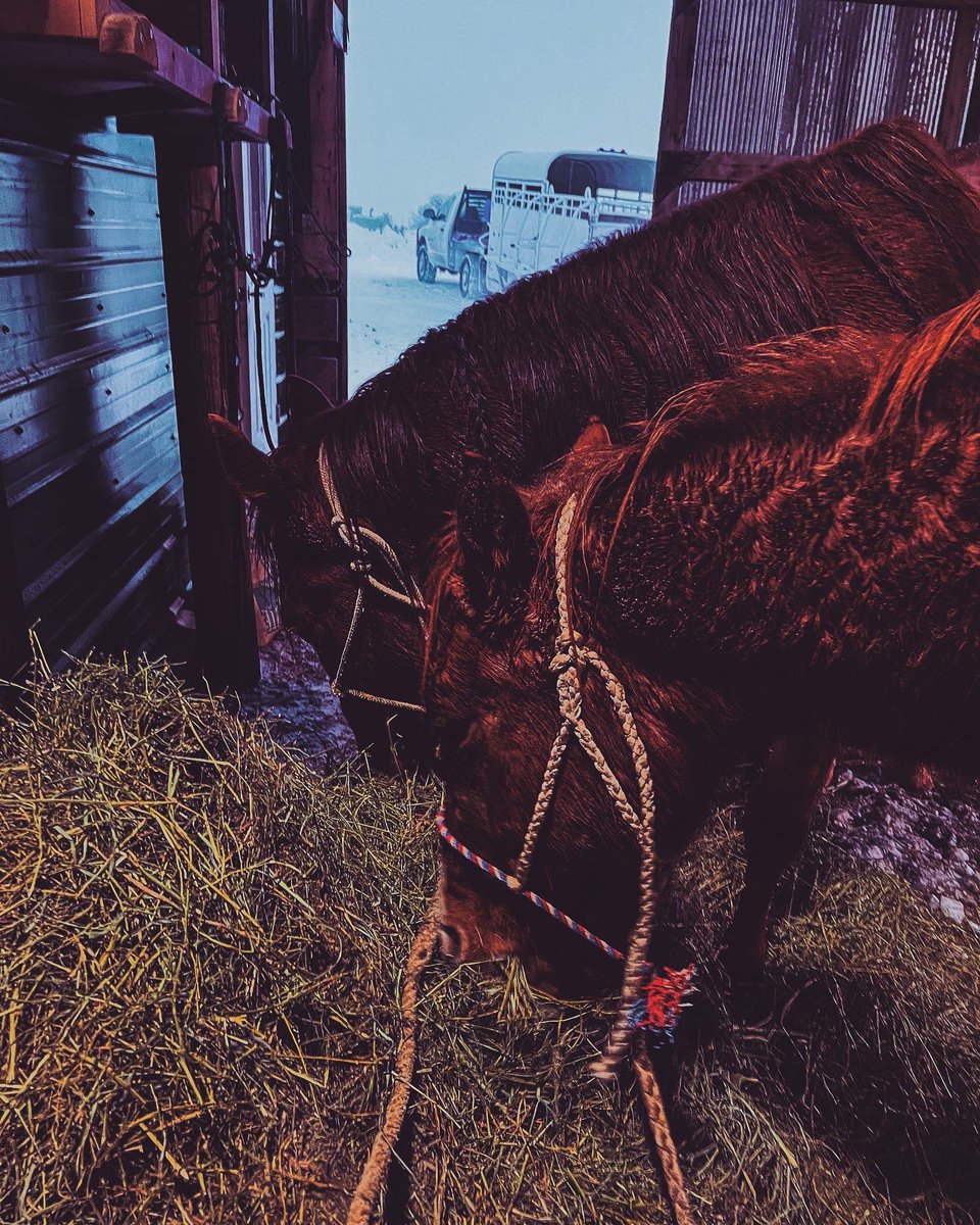 stay_inurlayne's tweet image. just remember God did not give you the spirit of fear. instead He gave you the spirit of power, love, and a sound mind. and I think knowing that is enough to terrorize your fears away.