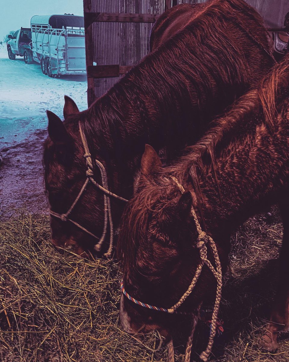 stay_inurlayne's tweet image. just remember God did not give you the spirit of fear. instead He gave you the spirit of power, love, and a sound mind. and I think knowing that is enough to terrorize your fears away.