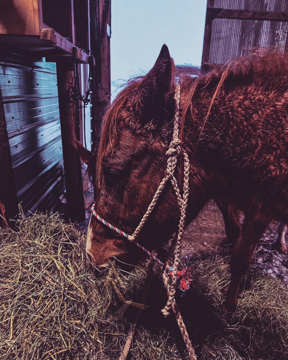 stay_inurlayne's tweet image. just remember God did not give you the spirit of fear. instead He gave you the spirit of power, love, and a sound mind. and I think knowing that is enough to terrorize your fears away.