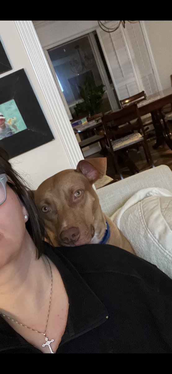 dobbyteam2's tweet photo. My #bff Benny sits on moms head and shoulders…I figured I could too! #10lbs #57lbs #LSUVetMed 🐕🐕 https://t.co/PVjhXBv1xq