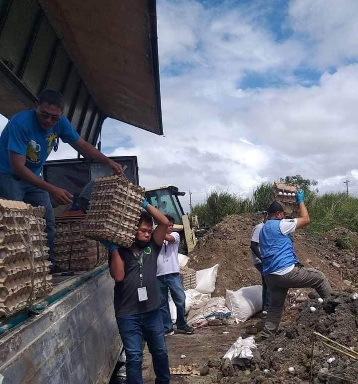News5 tweet media