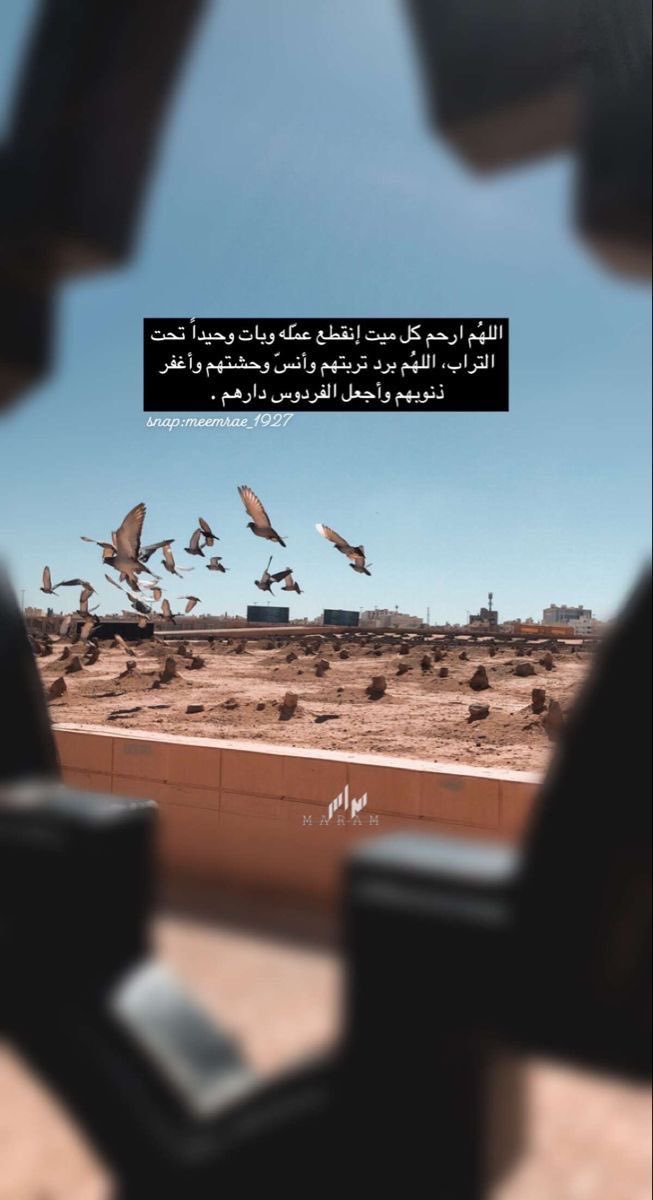 bni_tamimm's tweet photo. اللهُـم في يوم الجمعه :
ارحم كل ميت إنقـطع عمّـله وبات وحـيداً تحـت التراب اللهُـم برد تربتهم وآنس وحشتهم واغفر ذنـوبهم واجعـل الفـردوس دارهـم ."
#ليلة_الجمعة #يوم_الجمعة #ساعه_استجابه https://t.co/naz3HIqyNs