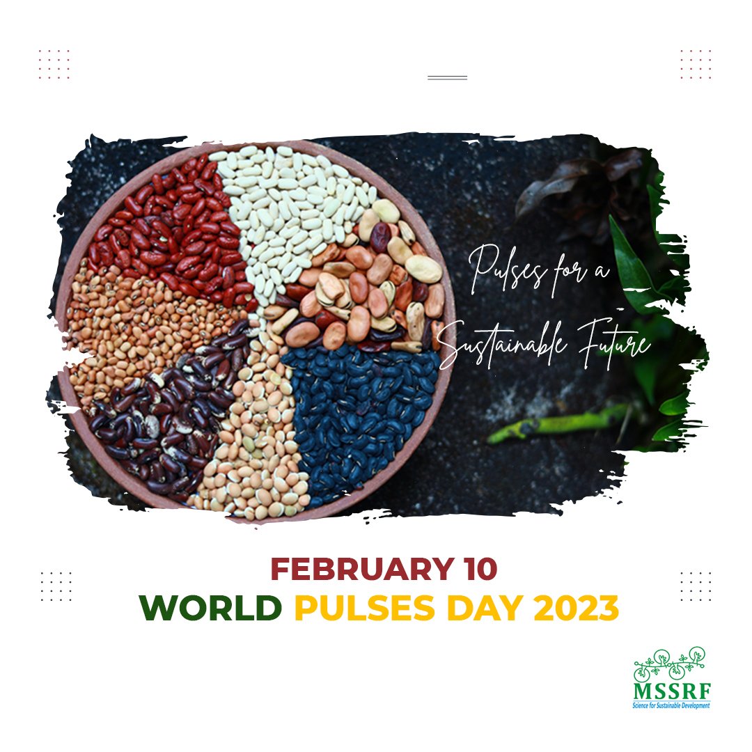 Pulses for the health of #community & planet🌏
🫘 Nutritional powerhouse #Fe #K #folate #lowglycemicindex #highfibre #nocholesterol
🫘 Gluten free
🫘 Improve #soil health
🫘 #Climateresilient 
🫘 Low water & #carbonfootprint

#LovePulses #WorldPulsesDay #FoodSecurity #ZeroHunger