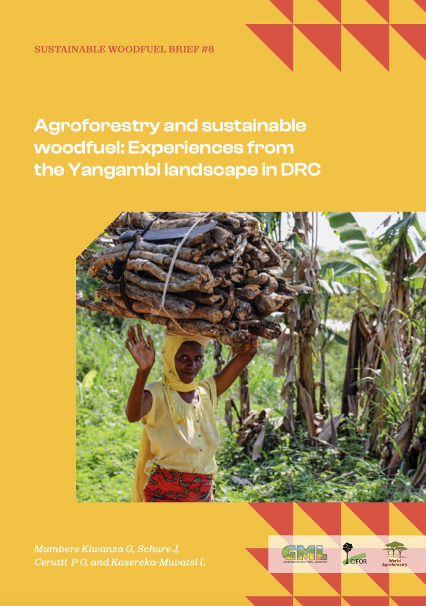 📚 #Publication: Demonstrating the benefits of #agroforestry systems as a source of woodfuel is critical to the successful adoption of activities by communities, as is ensuring that all activities are participatory &amp; inclusive in nature.

🔗: bit.ly/3YGukBl

#GML <a href="/CIFOR/">CIFOR</a>