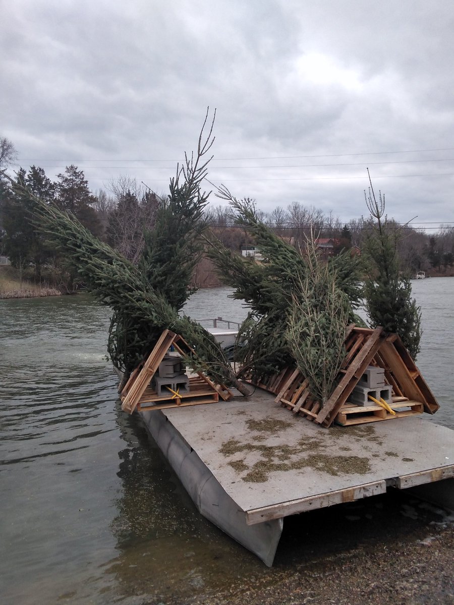 kyfisheriesc's tweet photo. It was a very windy day finishing up habitat work on #BeaverLake. This week almost 2,100 Christmas trees &amp; 40 wooden pallet structures were used to refurbish 31 habitat sites throughout the lake. Thanks again to all the volunteers and #KDFWR staff that assisted with this project. https://t.co/RTS5y1DPo3